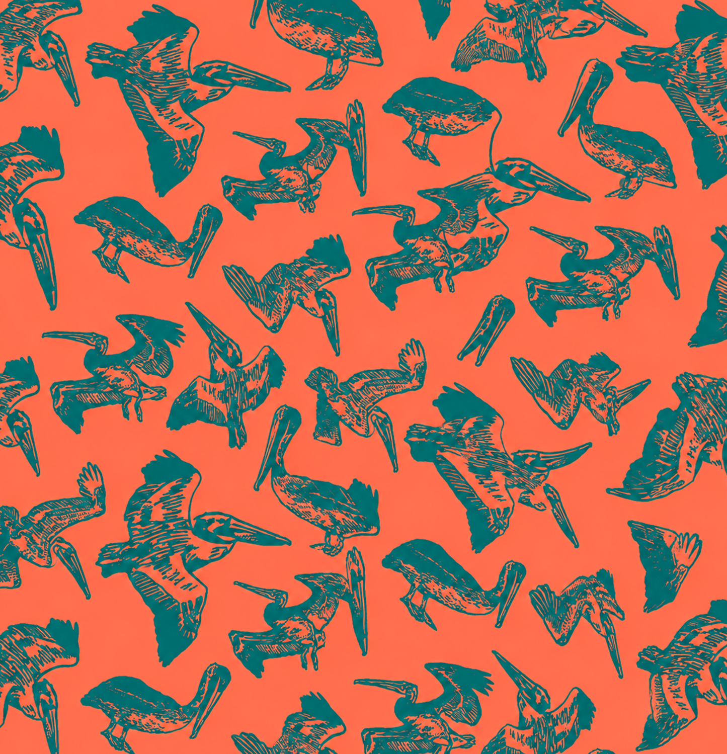 Pelicans in Flight